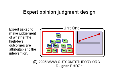 Expert opinion judgement design